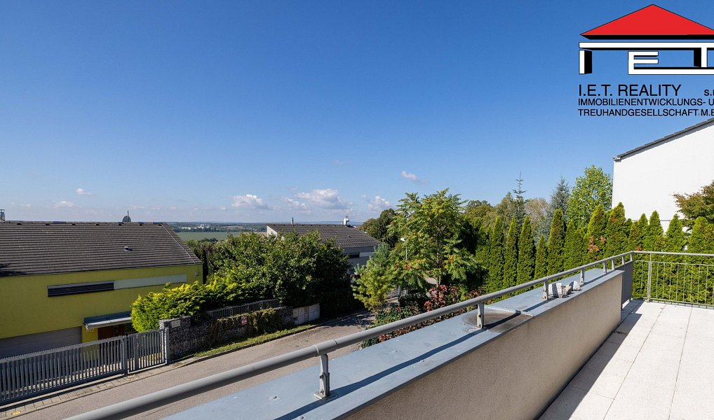 Prodej domu 326 m² s pozemkem 2 960 m², Židlochovice – náhled fotky 18