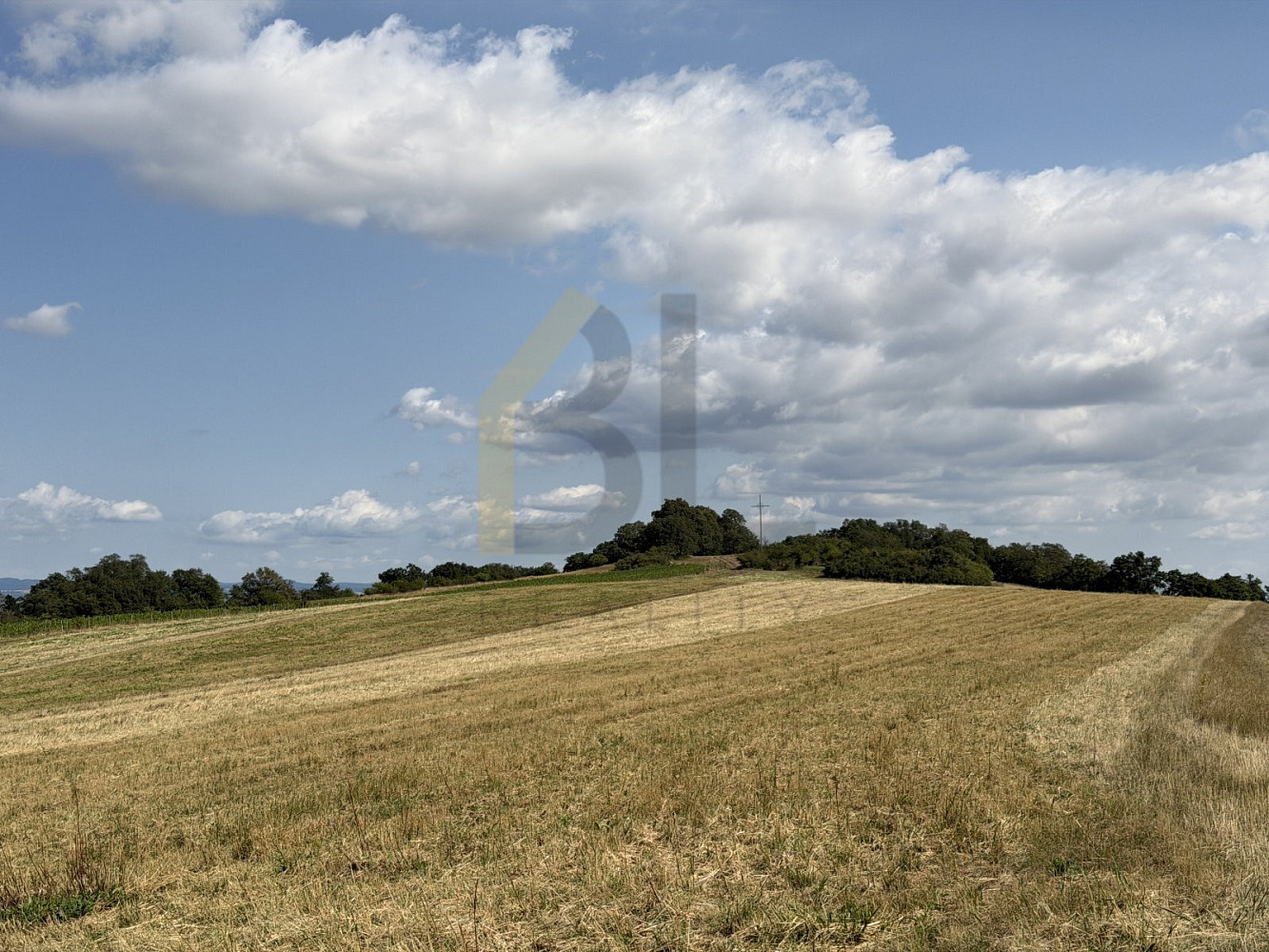 Prodej zahrady 3 867 m² – fotografie 2