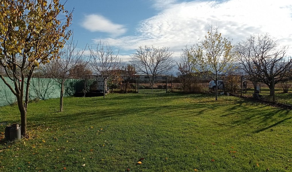 Prodej stavebního pozemku 1 285 m², Dolní Dunajovice – náhled fotky 2