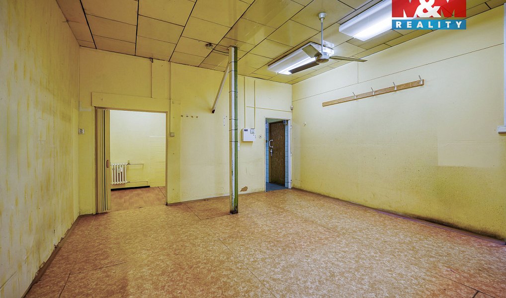 Pronájem obchodních prostor 133 m², Třemošná – náhled fotky 9
