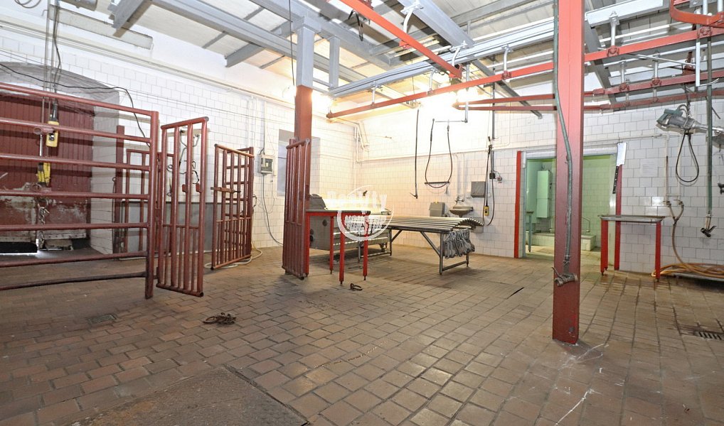 Prodej domu 432 m² s pozemkem 665 m², Brtnice – náhled fotky 20