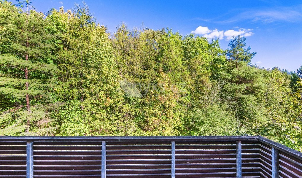 Pronájem bytu 3+kk 98 m², Praha – náhled fotky 11