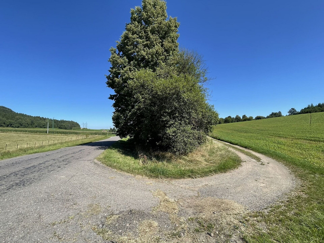 Prodej pozemku 6 634 m² – fotografie 5