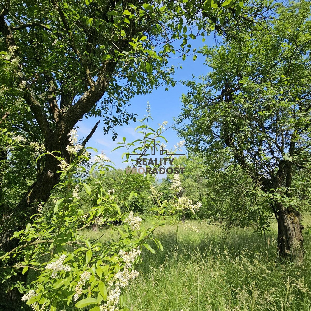 Prodej pozemku 4 253 m² – pohled 6
