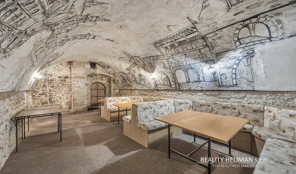 Prodej domu 878 m² s pozemkem 839 m², Žatec – náhled fotky 13