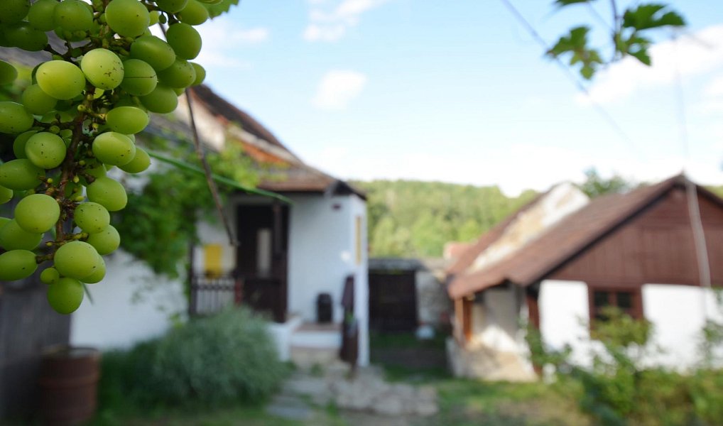 Prodej domu 104 m² s pozemkem 518 m², Kamberk – náhled fotky 26