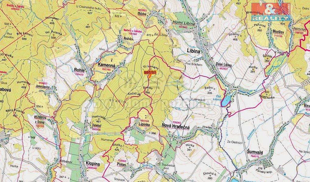Prodej lesa 6 092 m², Nová Hradečná – náhled fotky 3