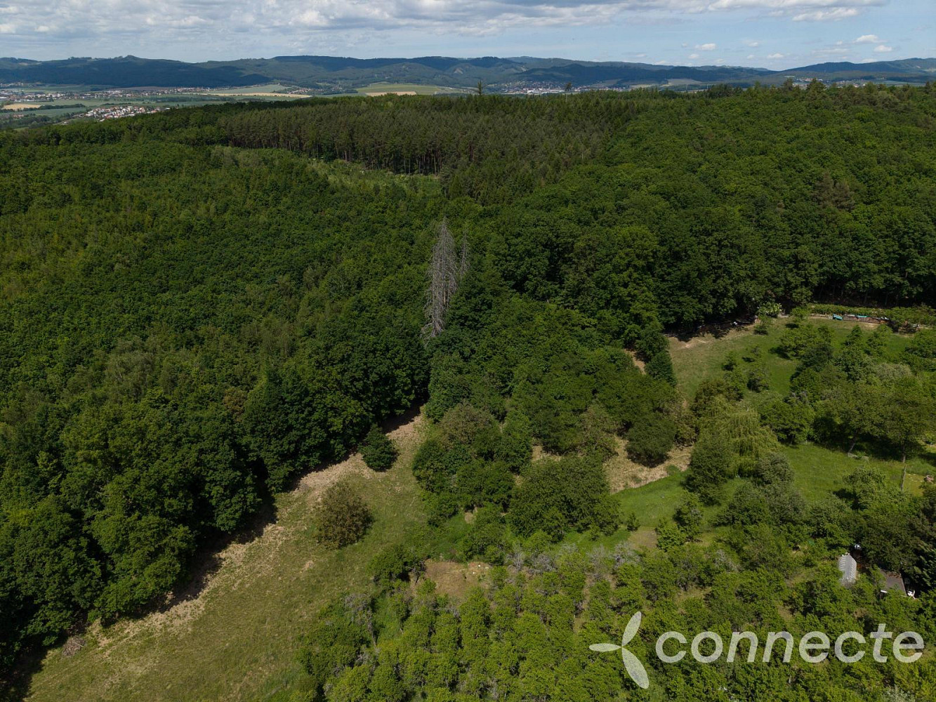 Prodej louky 3 131 m² — photo 3