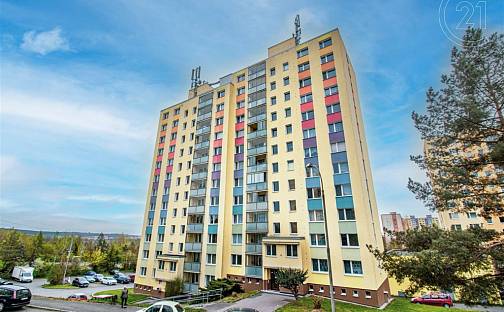 Prodej bytu 1+kk 27 m², Plzeň - Bolevec