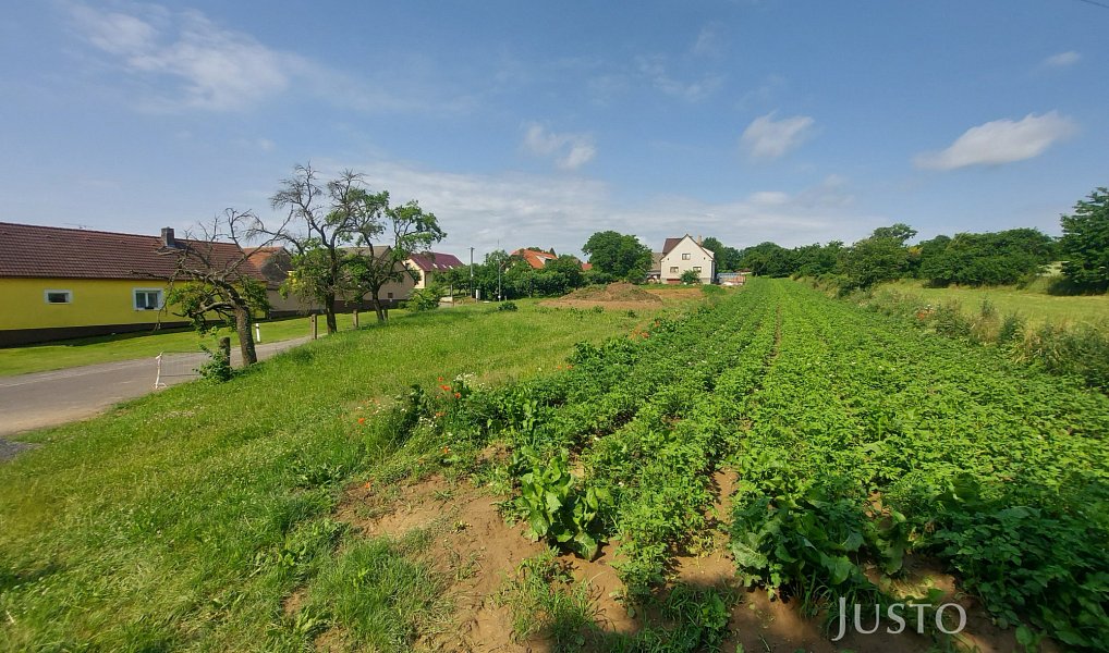 Prodej stavebního pozemku 2 918 m², Dražíč – náhled fotky 10
