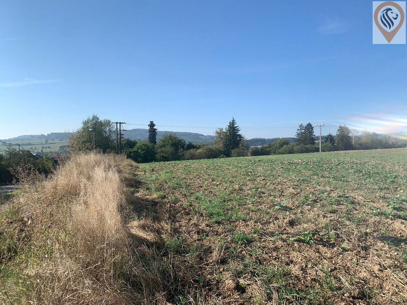 Prodej stavebního pozemku 9 675 m² – fotografie 5