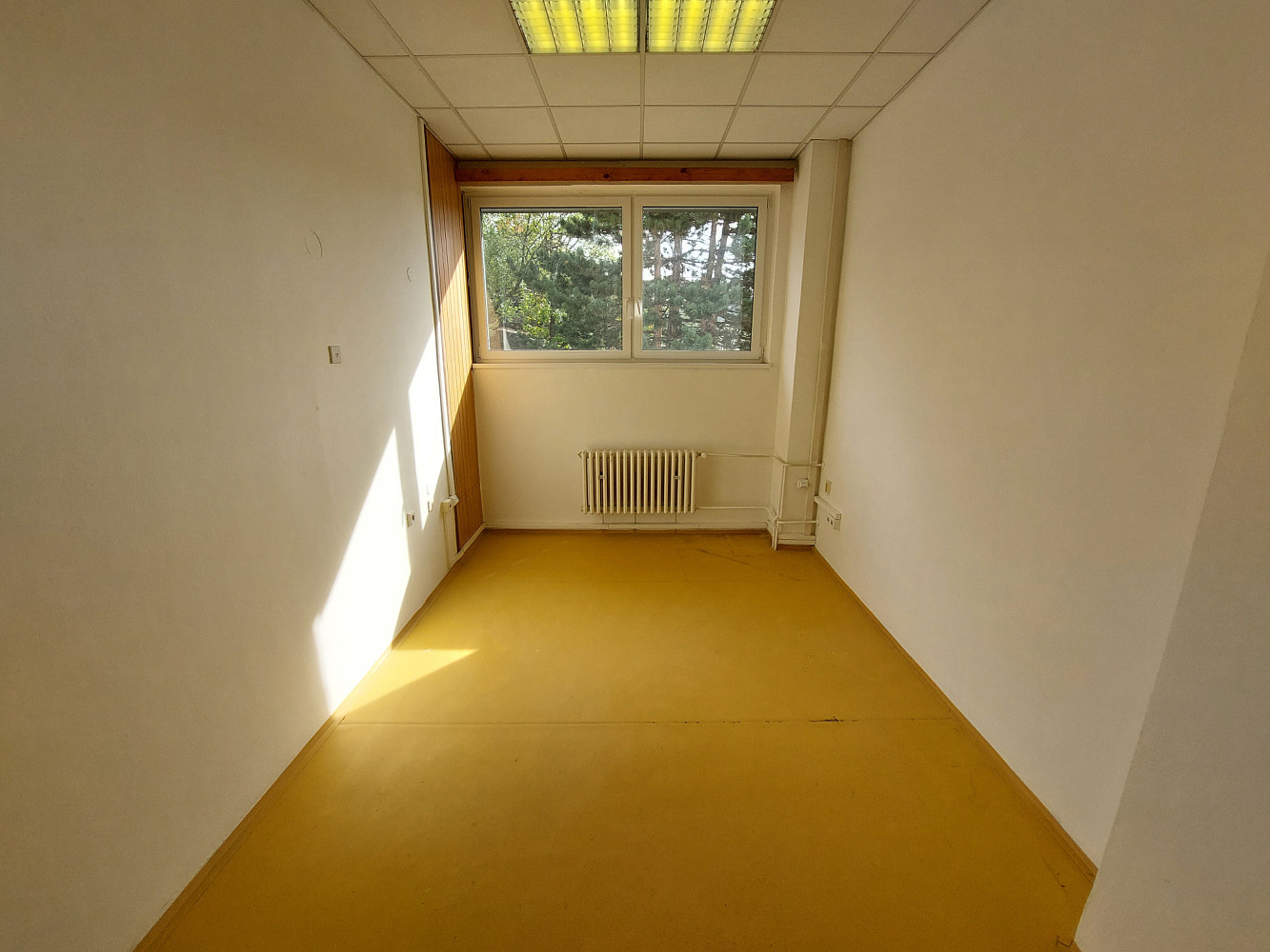 Pronájem kanceláře 20 m² – fotografie 3