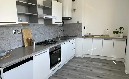 Pronájem bytu 2+1 56 m², Vinohradská, Litvínov - Horní Litvínov, okres Most