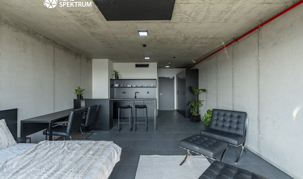 Pronájem bytu 1+kk 35 m², Brno – náhled fotky 4
