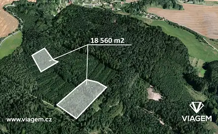 Prodej lesa 18 560 m², Březina, okres Svitavy
