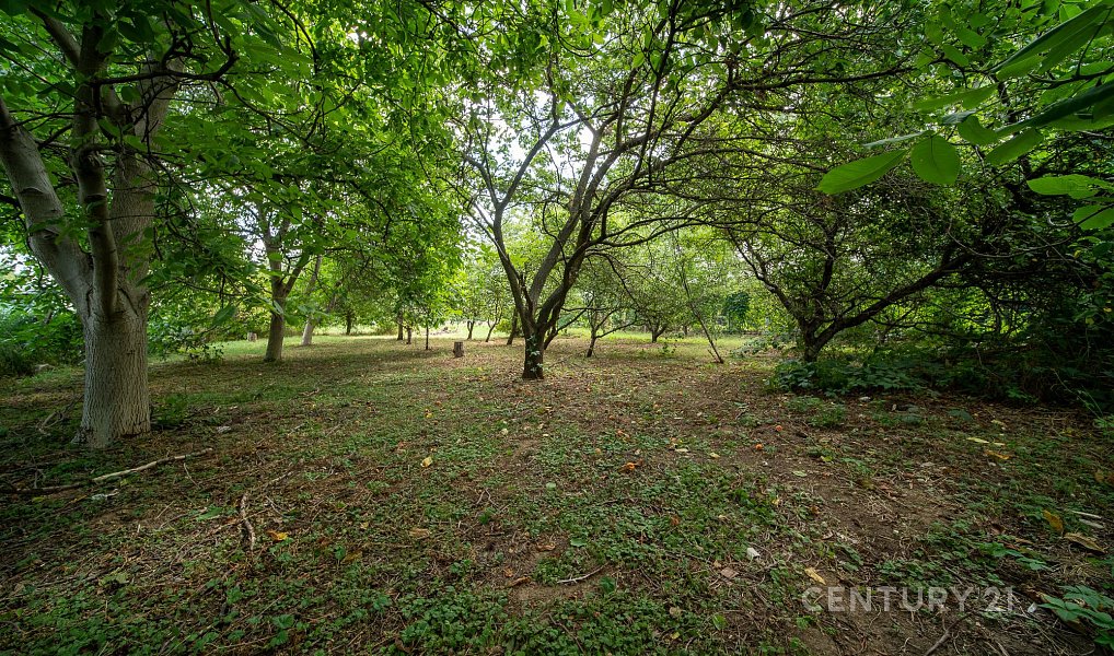 Prodej domu 145 m² s pozemkem 2 417 m², Radonice – náhled fotky 3