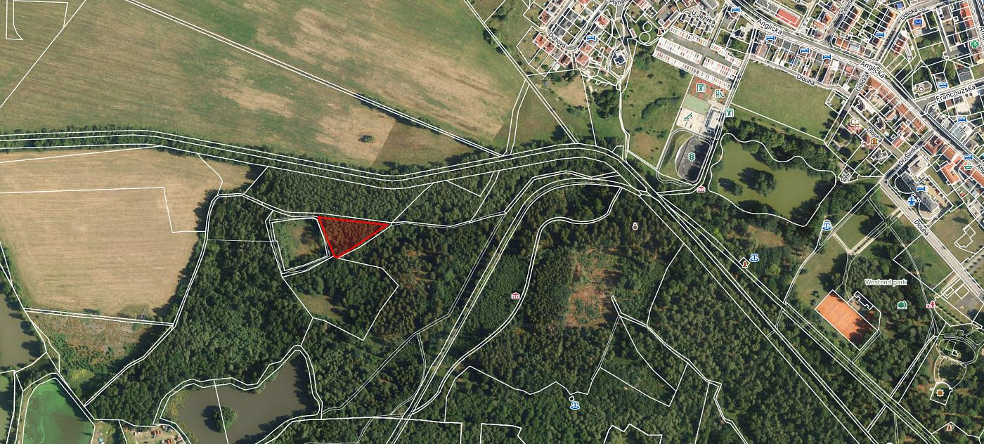 Prodej lesa 2 956 m², Františkovy Lázně