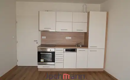 Pronájem bytu 1+kk 45 m², Na Sadech, České Budějovice - České Budějovice 3
