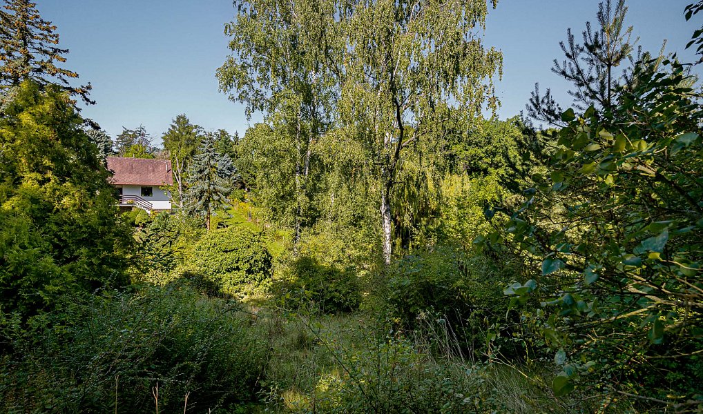 Prodej chaty/chalupy 26 m² s pozemkem 469 m², Praha – náhled fotky 9