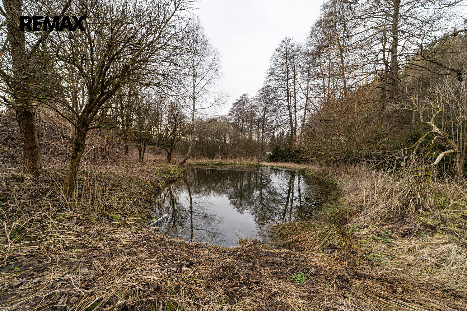 Prodej domu 440 m² s pozemkem 3 345 m² – fotografie 4