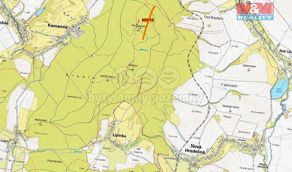Prodej lesa 10 966 m², Nová Hradečná – náhled fotky 4