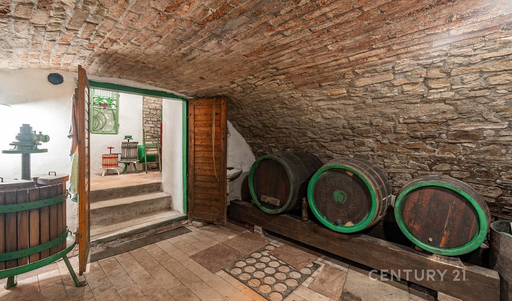 Vinný sklep 83m2, pozemky 8.420m2, Blatnice pod Svatým Antonínkem, Blatnice pod Svatým Antonínkem – náhled fotky 19