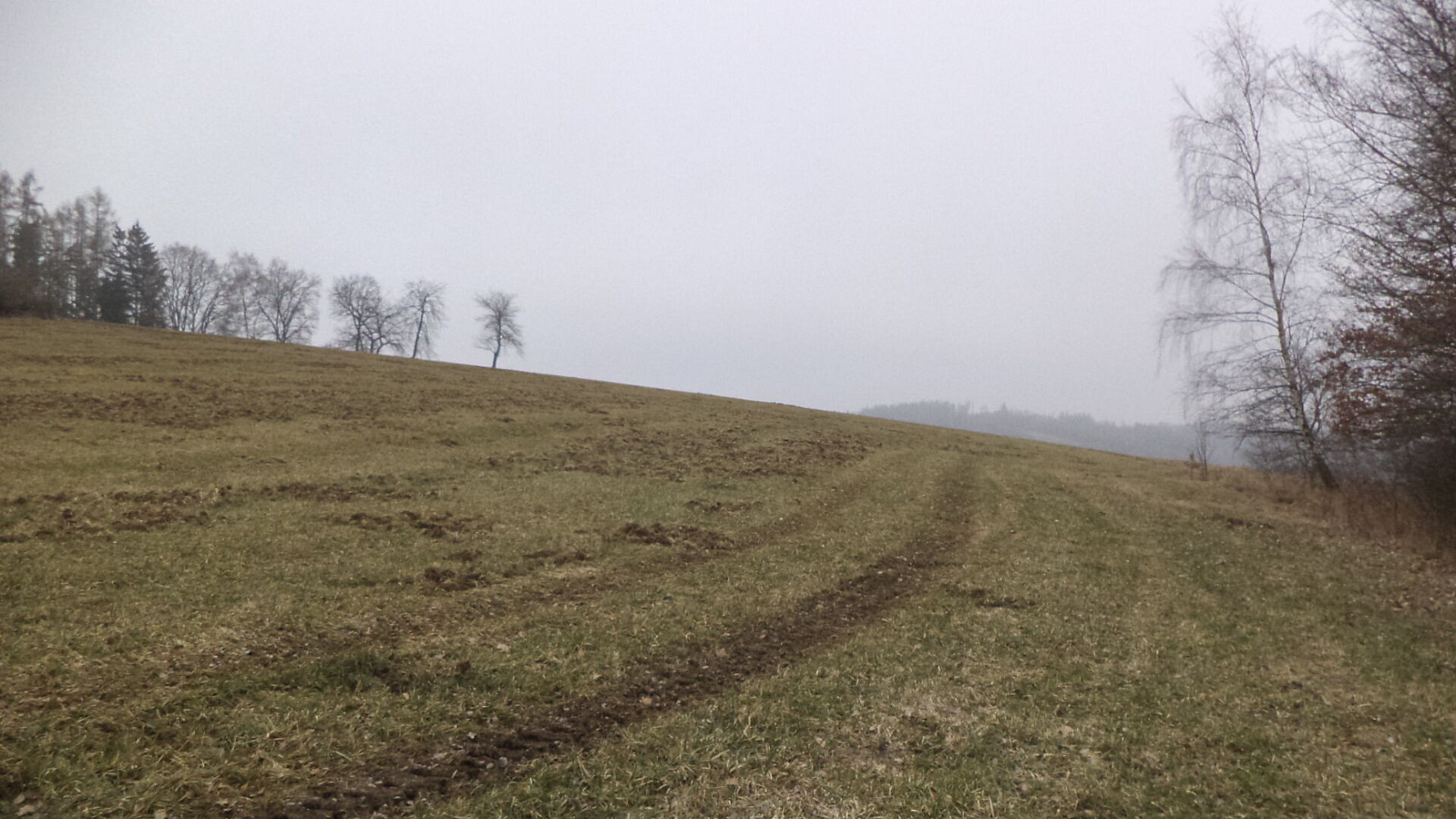 Prodej pole 9 983 m²