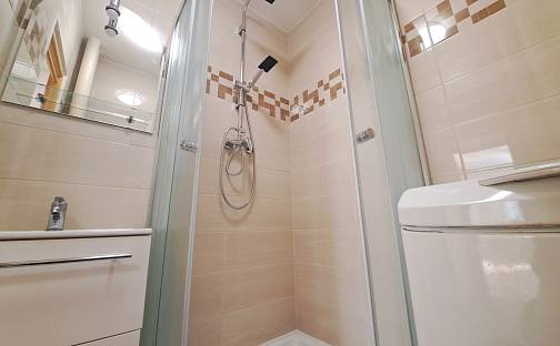 Pronájem bytu 2+1 56 m², Tyršova, Zlín - Malenovice