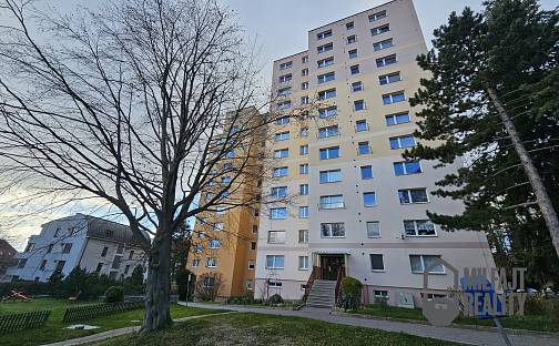 Pronájem bytu 1+kk 27 m², Borový vrch, Liberec - Liberec XIV-Ruprechtice