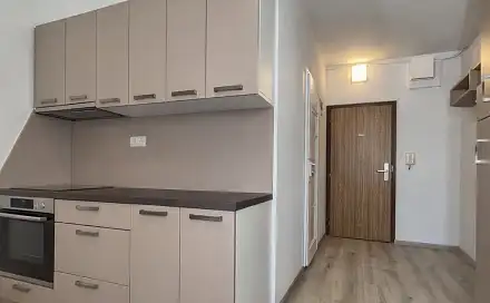 Pronájem bytu 1+1 31 m²