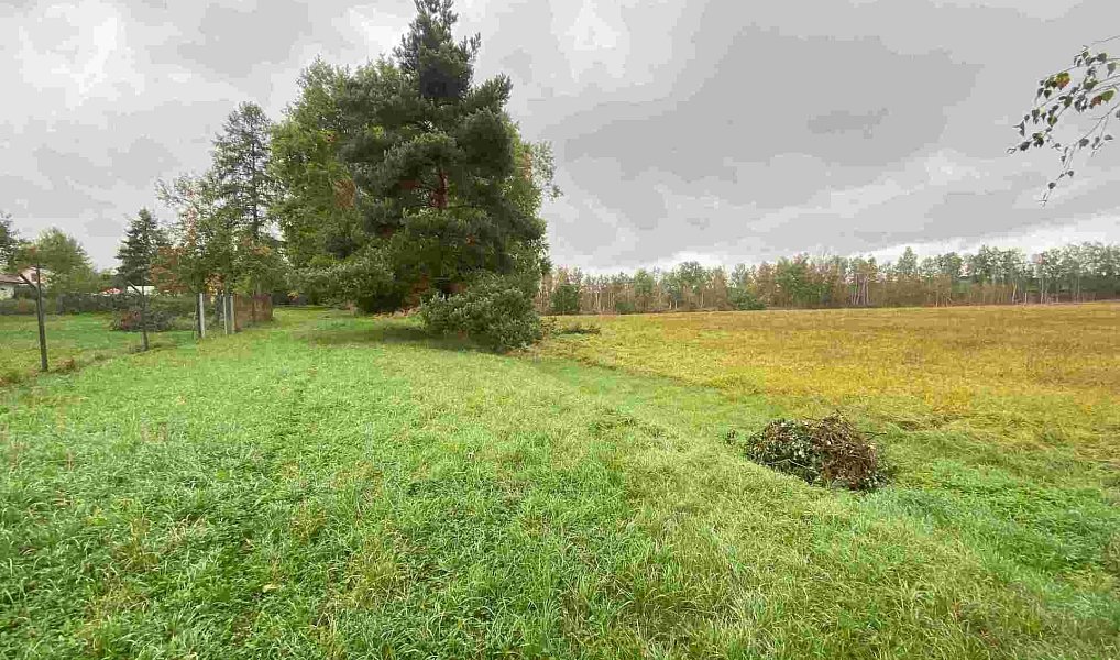 Prodej pozemku 15 915 m², Mydlovary – náhled fotky 4