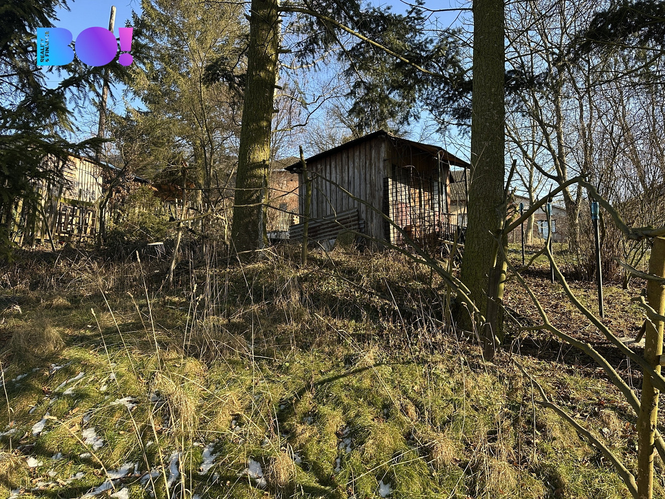 Fotka 9 z 18