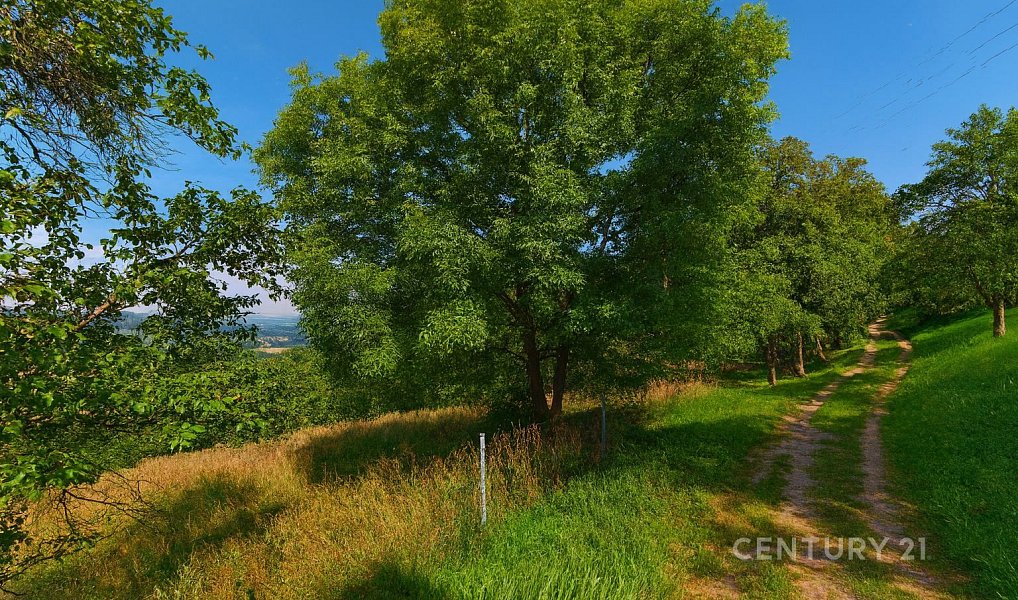 Prodej zahrady 4 971 m², Štramberk – náhled fotky 3