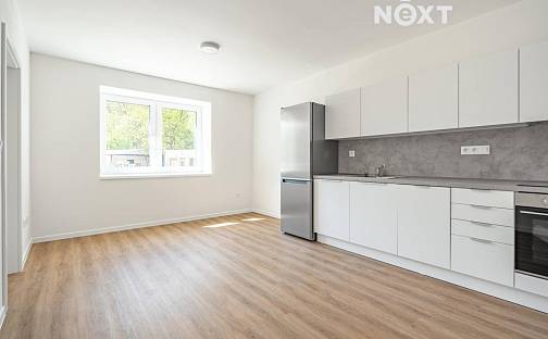 Pronájem bytu 2+kk 43 m², Libušino údolí, Třebíč - Borovina