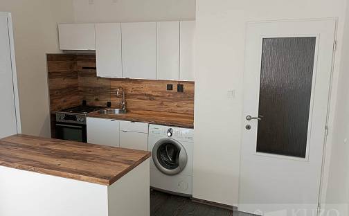 Pronájem bytu 1+1 39 m², Tachovská, Plzeň - Bolevec