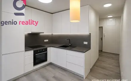 Prodej bytu 2+1 50 m², Petra Jilemnického, Hradec Králové - Plotiště nad Labem
