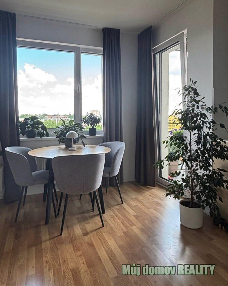 Pronájem bytu 1+kk 47 m² — photo 3