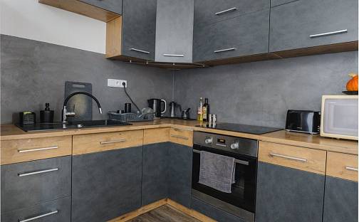 Prodej bytu 1+1 46 m², Zlínská, Liberec - Liberec III-Jeřáb