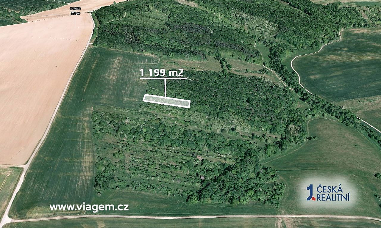 Prodej pole 1 199 m² – fotografie 2
