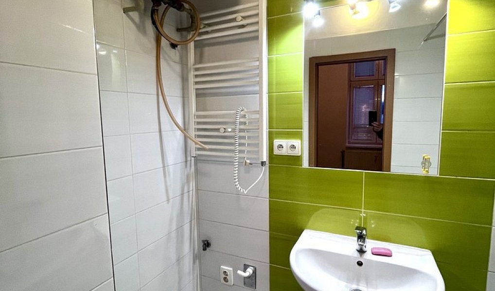 Pronájem bytu 1+1 45 m², Přeštice – náhled fotky 8