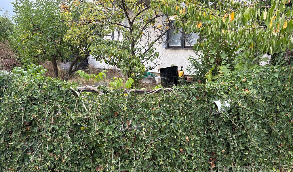 Prodej domu 150 m² s pozemkem 736 m², Hodov – náhled fotky 2
