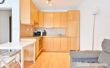 Pronájem bytu 1+kk 38 m²