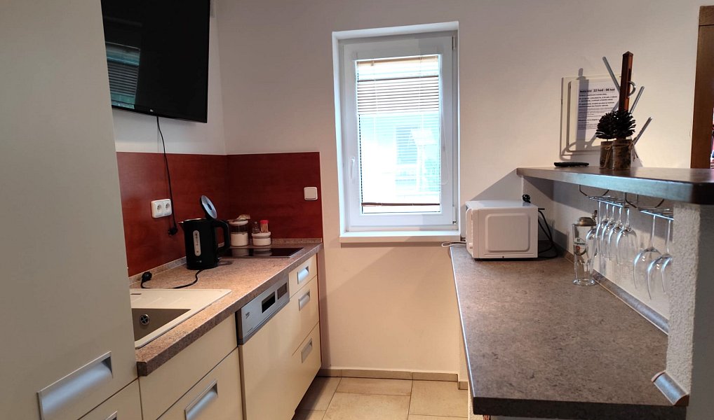 Prodej ubytovacího objektu 206 m², Dyjákovice – náhled fotky 19
