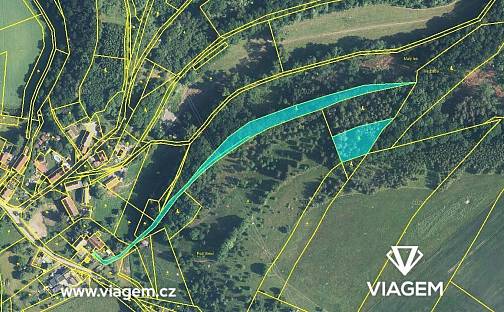 Prodej lesa 2 140 m², Heřmanice, okres Náchod