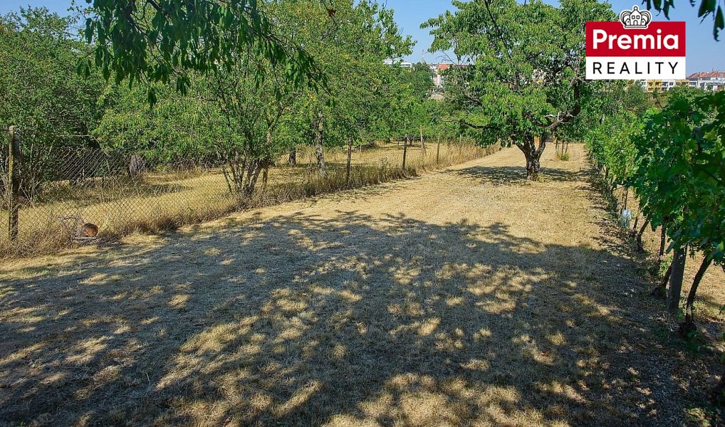 Prodej zahrady 903 m², Nový Šaldorf-Sedlešovice – náhled fotky 3