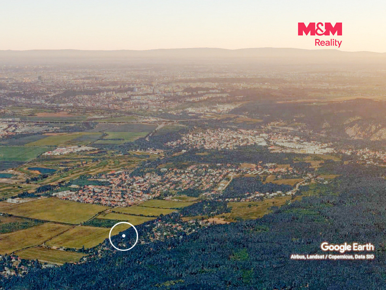 Prodej lesa 5 606 m² – fotografie 3