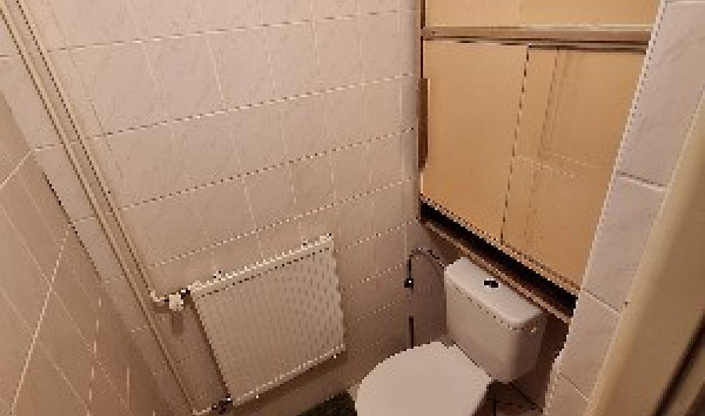 Prodej chalupy 164 m² s pozemkem 4 181 m², Abertamy – náhled fotky 46