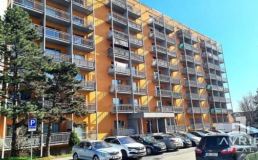 Prodej bytu 1+kk 24 m², Božetěchova, Brno - Královo Pole