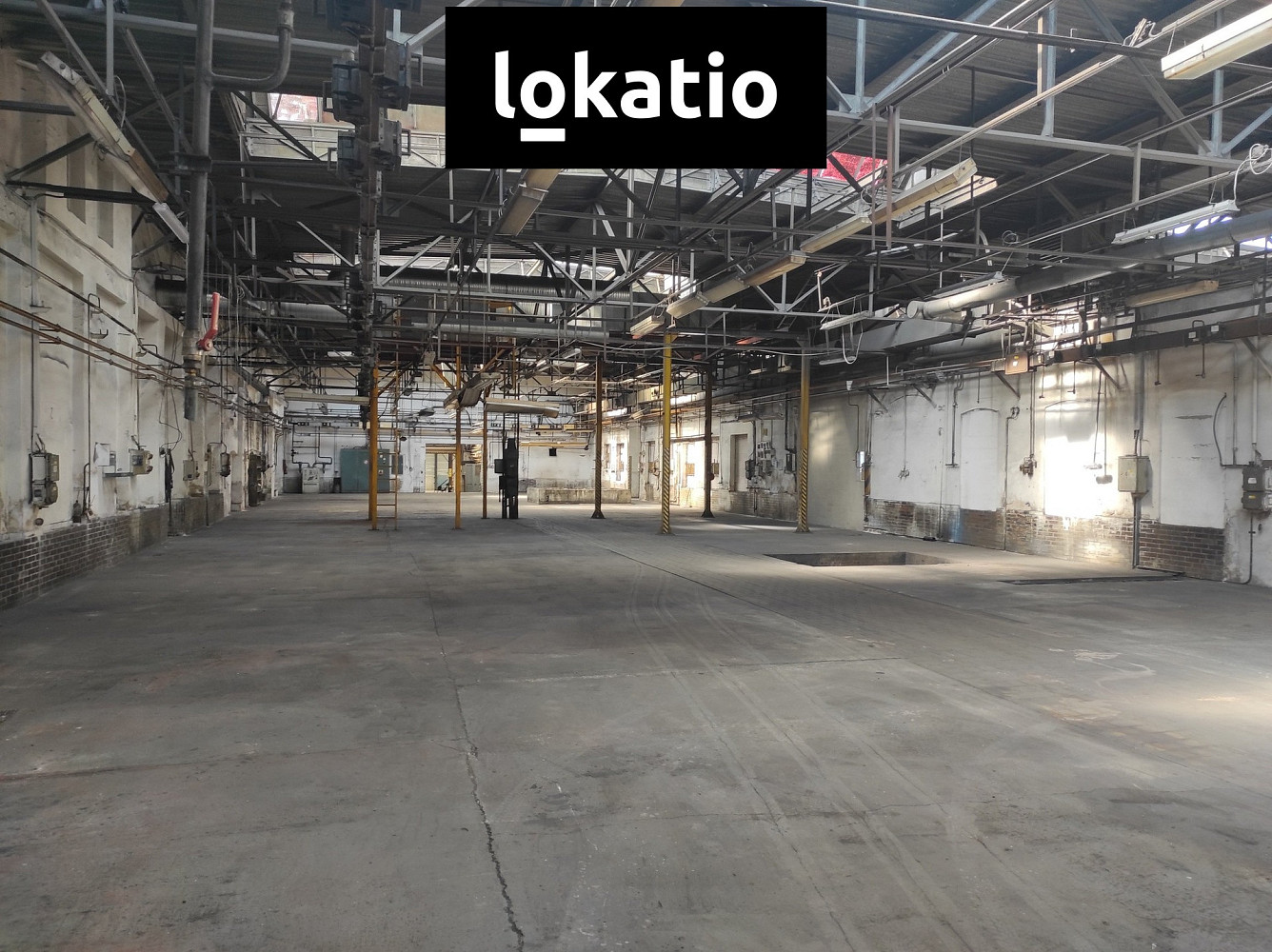 Fotka 4 z 9