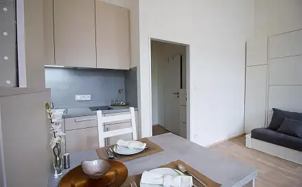 Pronájem bytu 1+kk 26 m²